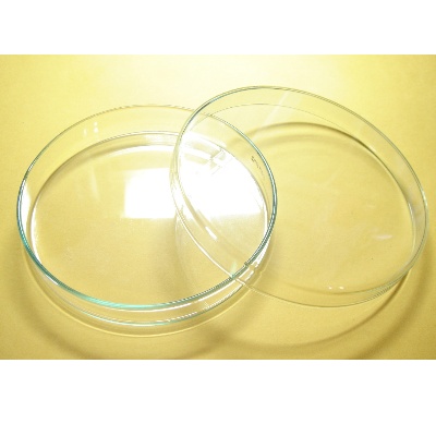 品名规格: 玻璃培养皿(60x15mm) 产品编号: mv-dg0013-60 单位: 组